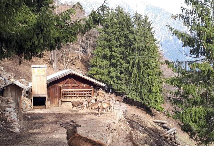 Отель Ortles Dolomiti Walking & Spa