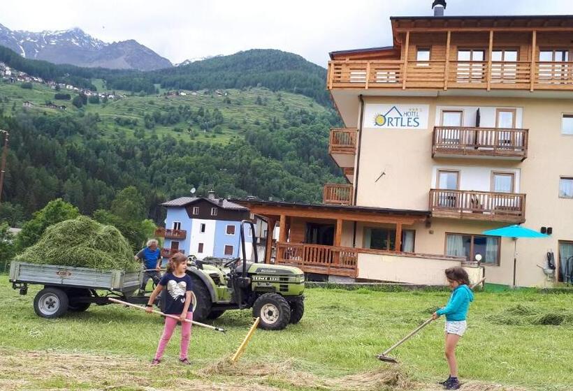 Отель Ortles Dolomiti Walking & Spa