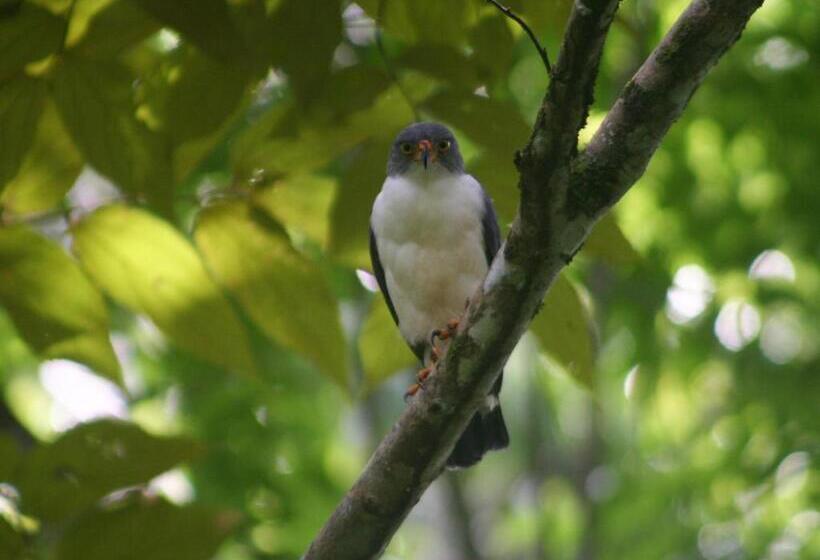 مبيت وإفطار El Colibri Lodge