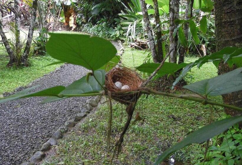 مبيت وإفطار El Colibri Lodge