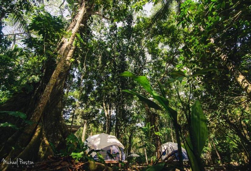 مبيت وإفطار Faith Glamping Dome Costa Rica