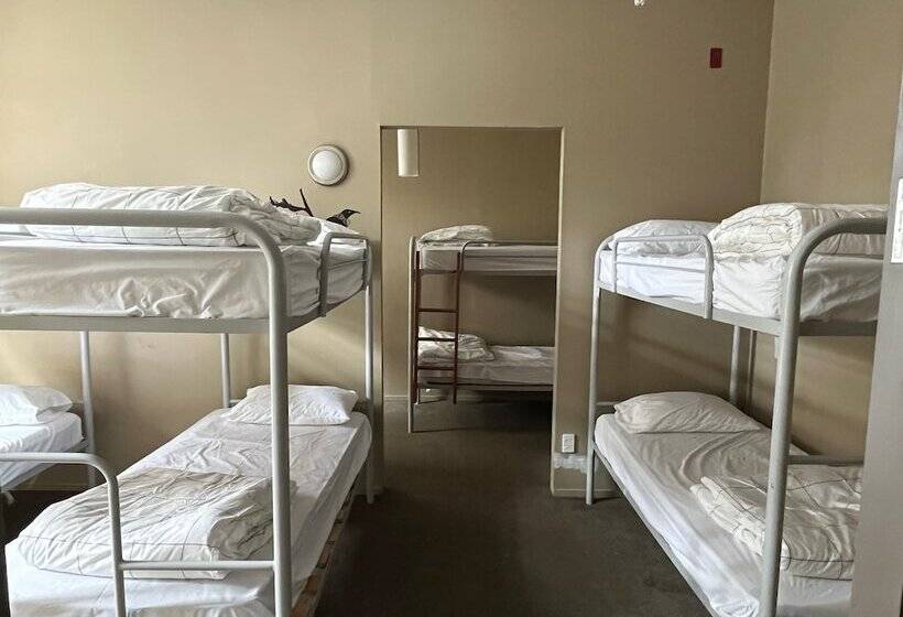 هاستل Uptown Backpackers