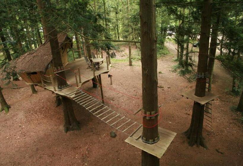 مبيت وإفطار Insolite Dans Les Arbres Les Ormes, Epiniac