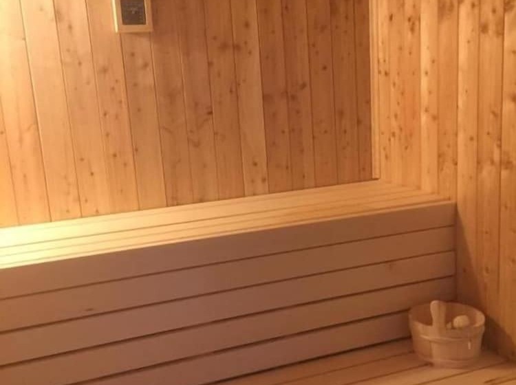 مبيت وإفطار Vulkán Wellness Panzió