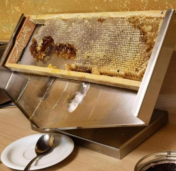 فندق Belchin Garden Spa&wellness