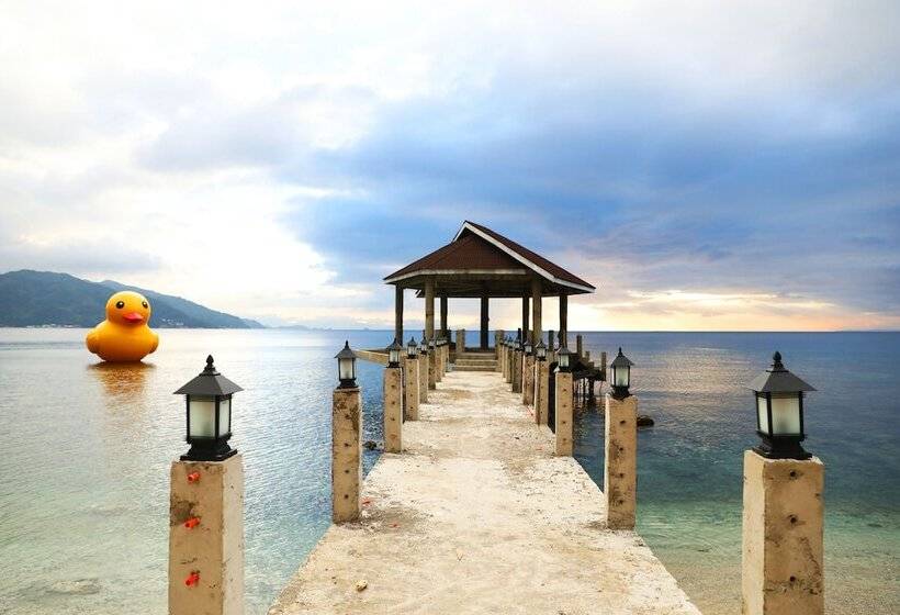 酒店 Destino Beach Club Dive Resort And
