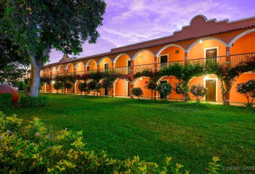 酒店 Hacienda San Juan Resort