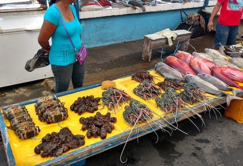 هتل Island Accommodation Suva Premier Hospitality