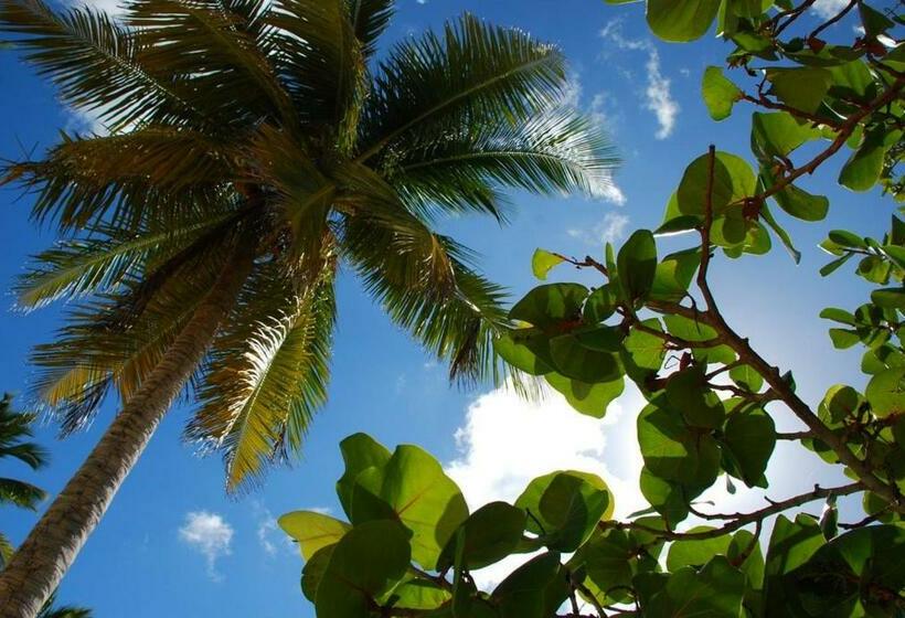 هتل Saona Beach House   Bed And Breakfast
