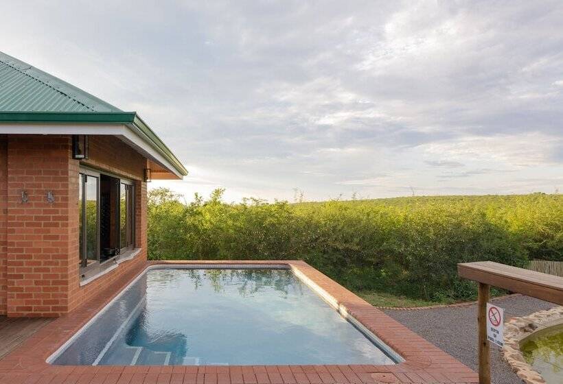 فندق Rockfig Lodge Madikwe