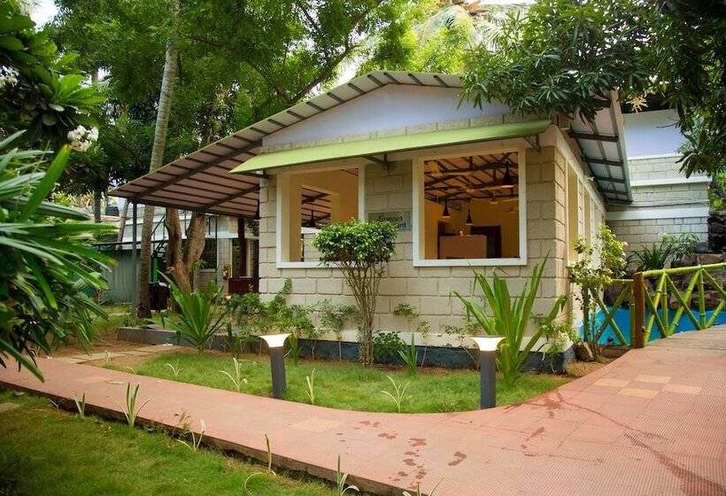 Mangrove Resorts