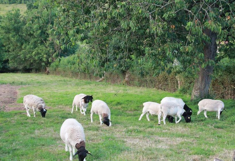 ペンション Le Haut Mesnil   8