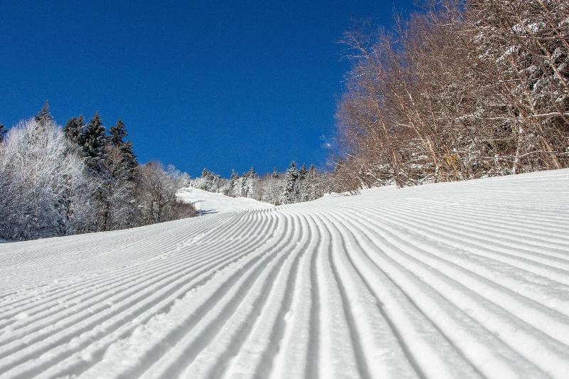 酒店 The Black Bear Lodge At Stratton Mountain Resort