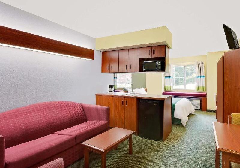 Microtel Inn & Suites By Wyndham Thomasville/high Point/lexi