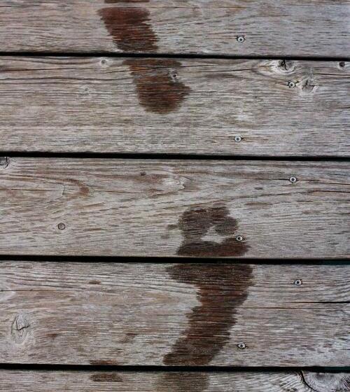 پانسیون Landhaus Alfred Wunder