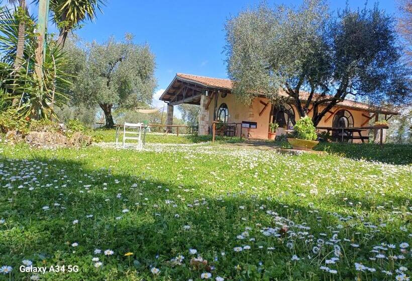 호텔 Agriturismo Bio Pian Dei Casali