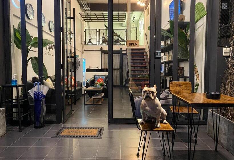 Backpack Hostel