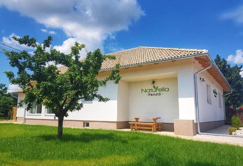 مبيت وإفطار Naturella Panzió