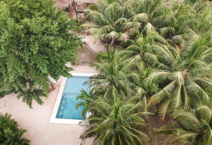 هتل Royal Palm Bacalar Cabañas & Lagoon Club