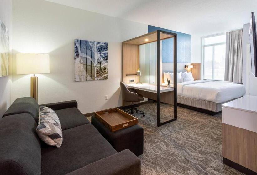 ホテル Springhill Suites Minneapolis Maple Grove/arbor Lakes