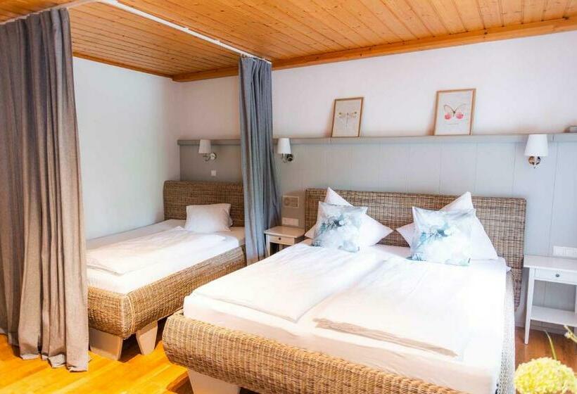 פנסיון Der Torwirt Radstadt