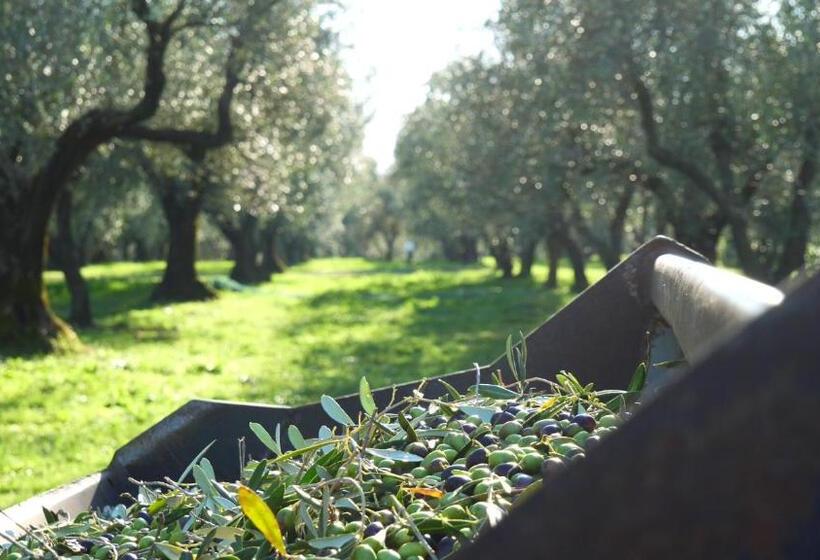 ホテル Agriturismo I Due Casali