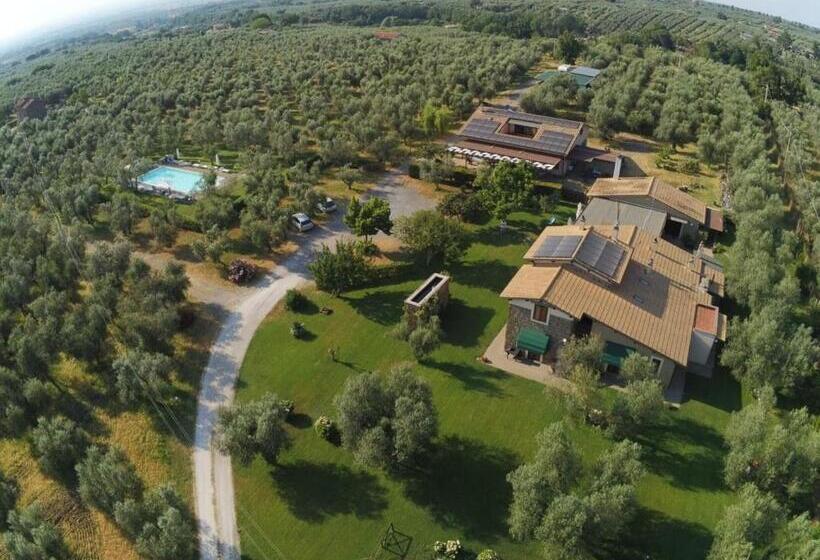 ホテル Agriturismo I Due Casali