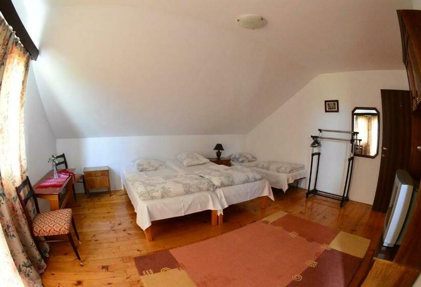 پانسیون Casa Altius Felix