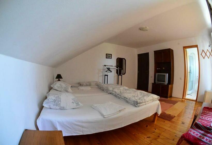 پانسیون Casa Altius Felix