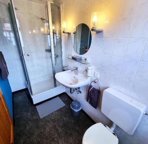 Пансион Gasthof Goldener Stern