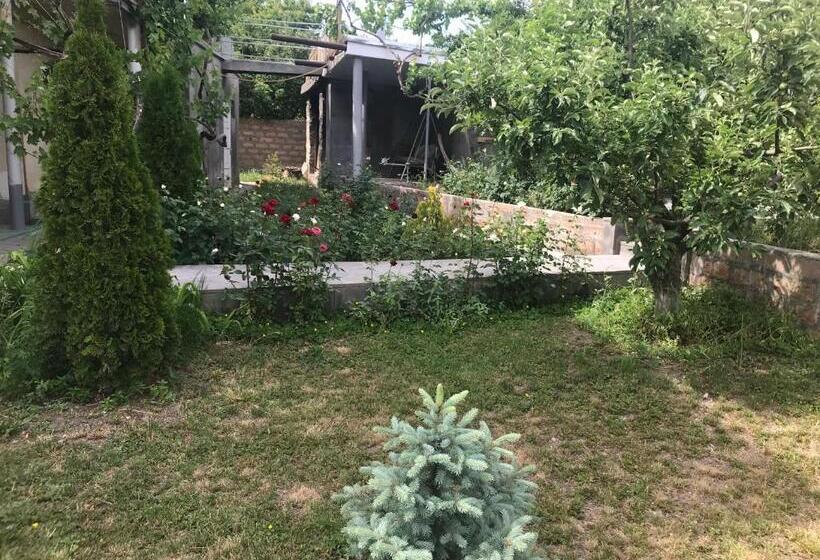 پانسیون Guest House Hasmik