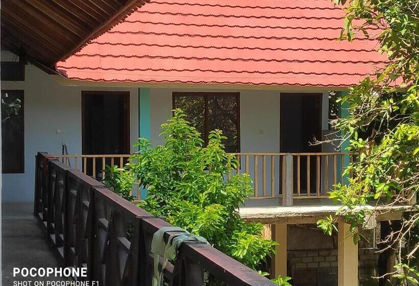 پانسیون Lilypad Guest House