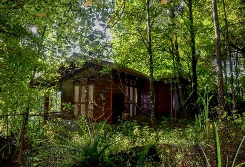 ペンション Sinharaja Rest