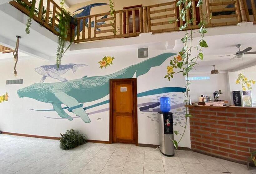 هاستل Whale House