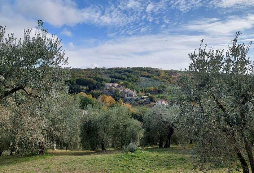 בית מלון כפרי Agriturismo La Rocca Assisi
