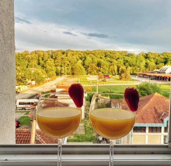 پانسیون Apartmani Banja Spa