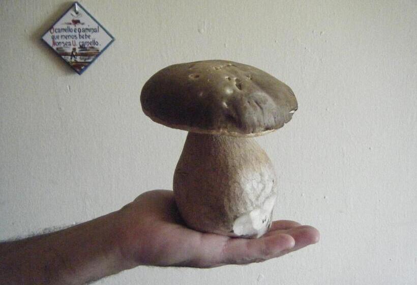 פנסיון Fonda Ca L'abel