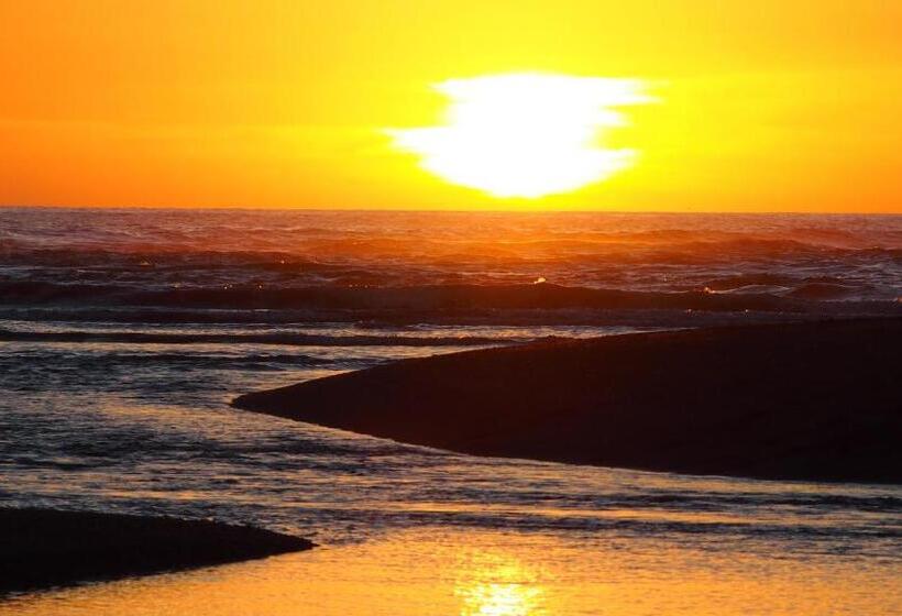 مبيت وإفطار Samara Palm Lodge