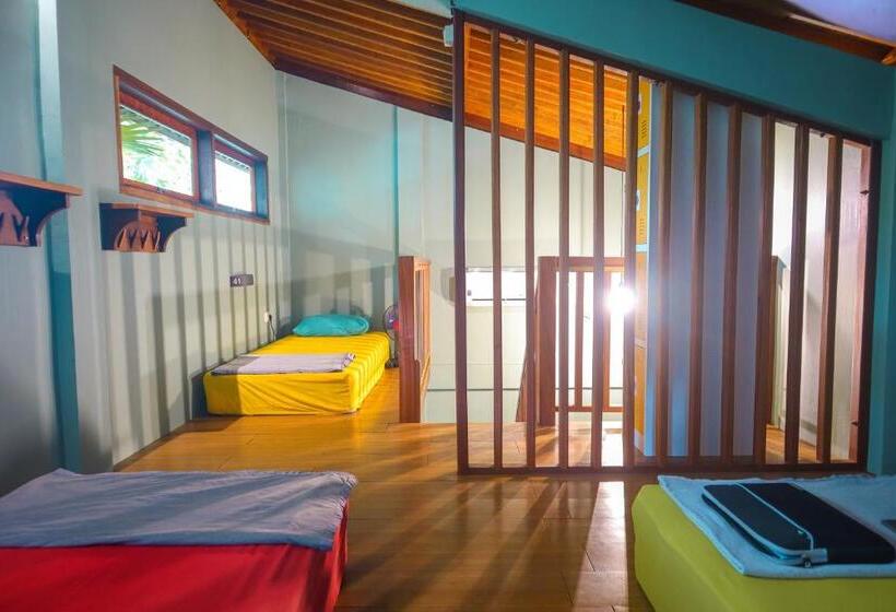 Pipes Hostel