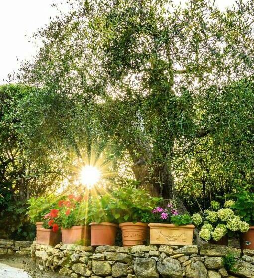 B&b Villa Giulia