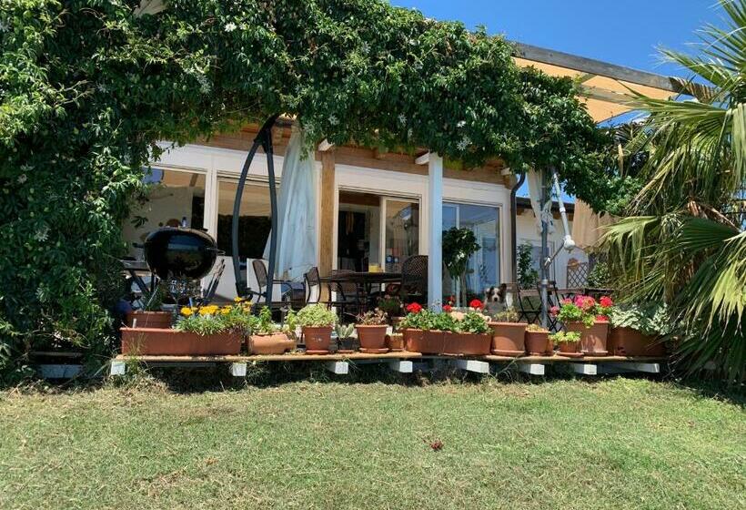 B&b Villa Sveva