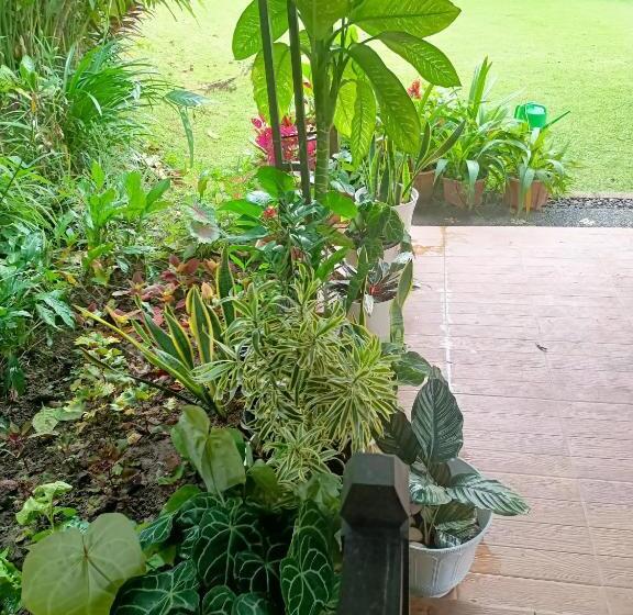 Bed and Breakfast Amartya Puri Green Cottages
