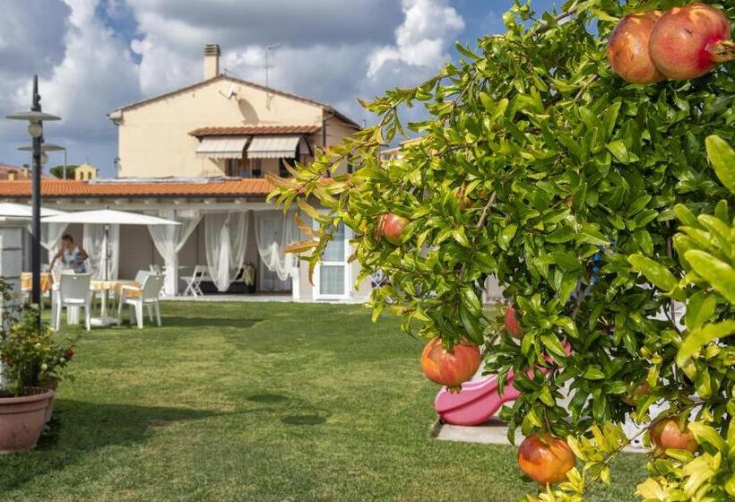 Bed and Breakfast Colorado Home