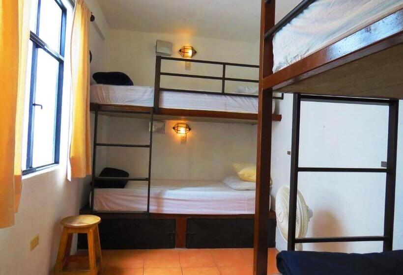 La Catrina Hostel