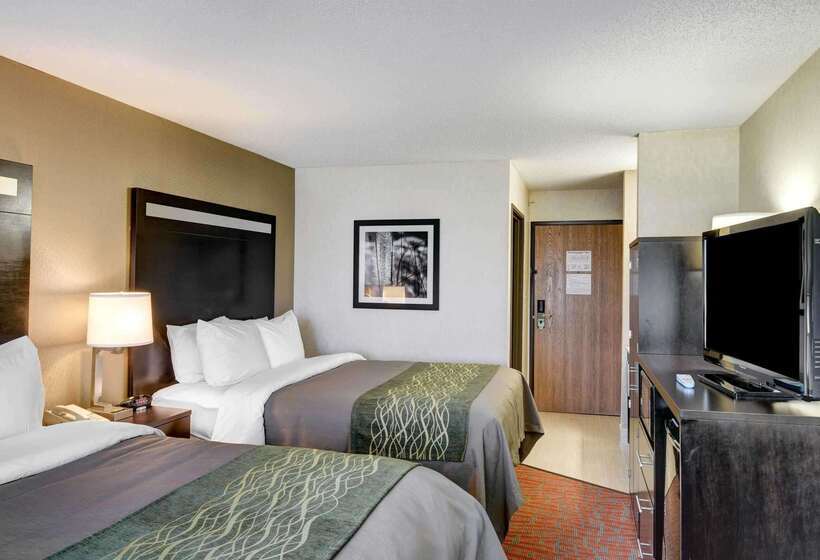 酒店 Comfort Inn