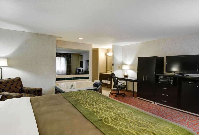 酒店 Comfort Inn