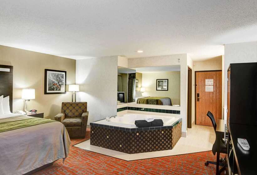 酒店 Comfort Inn