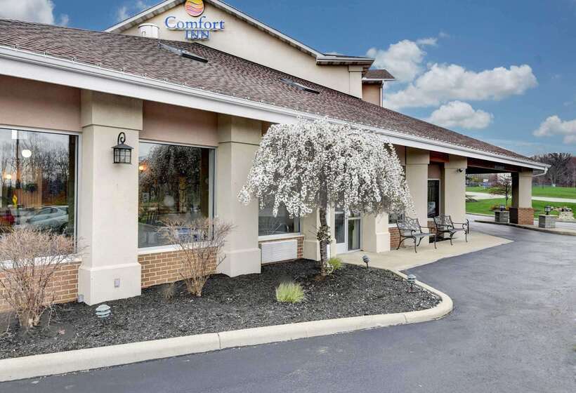 酒店 Comfort Inn
