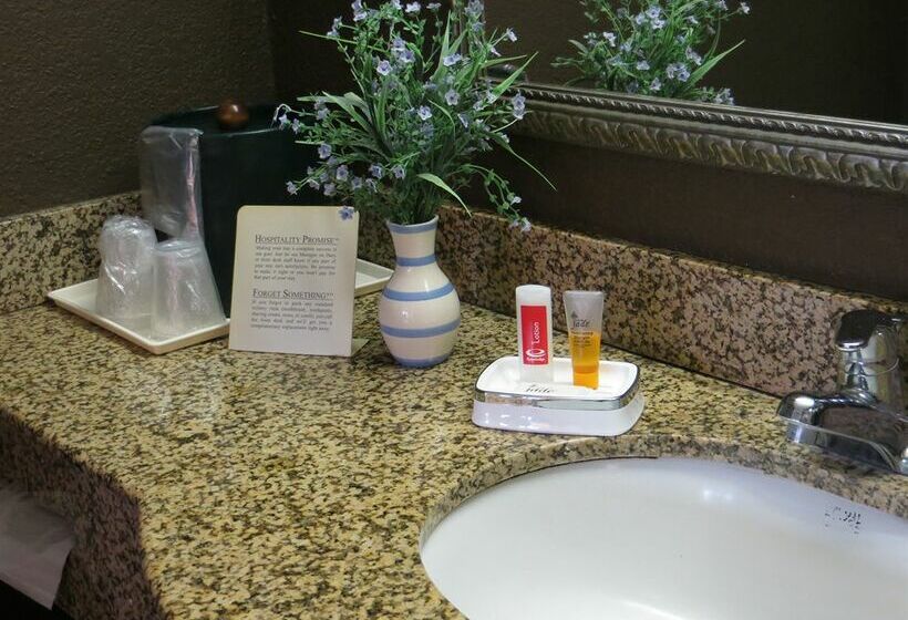 هتل Econo Lodge Choice S I 95 Savannah Gateway 24 Hour Fitness Center On Site Guest Laundry On Site Perk