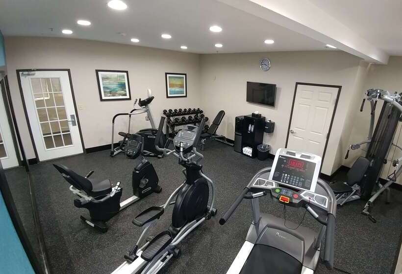 هتل Hawthorn Suites Irving Dfw South